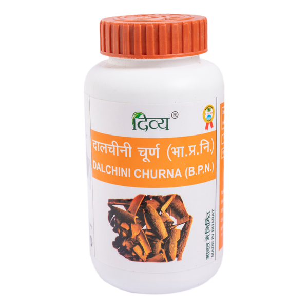 DALCHINI CHURAN 100GM